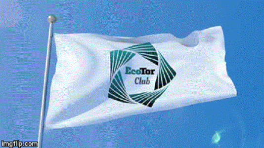 Reporte del fundador Ecotor Octubre 2023